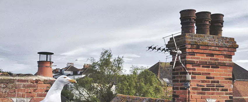 Chimney Cleaning And Restoration in Greenfield, Massachusetts